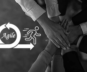 Agile Teams